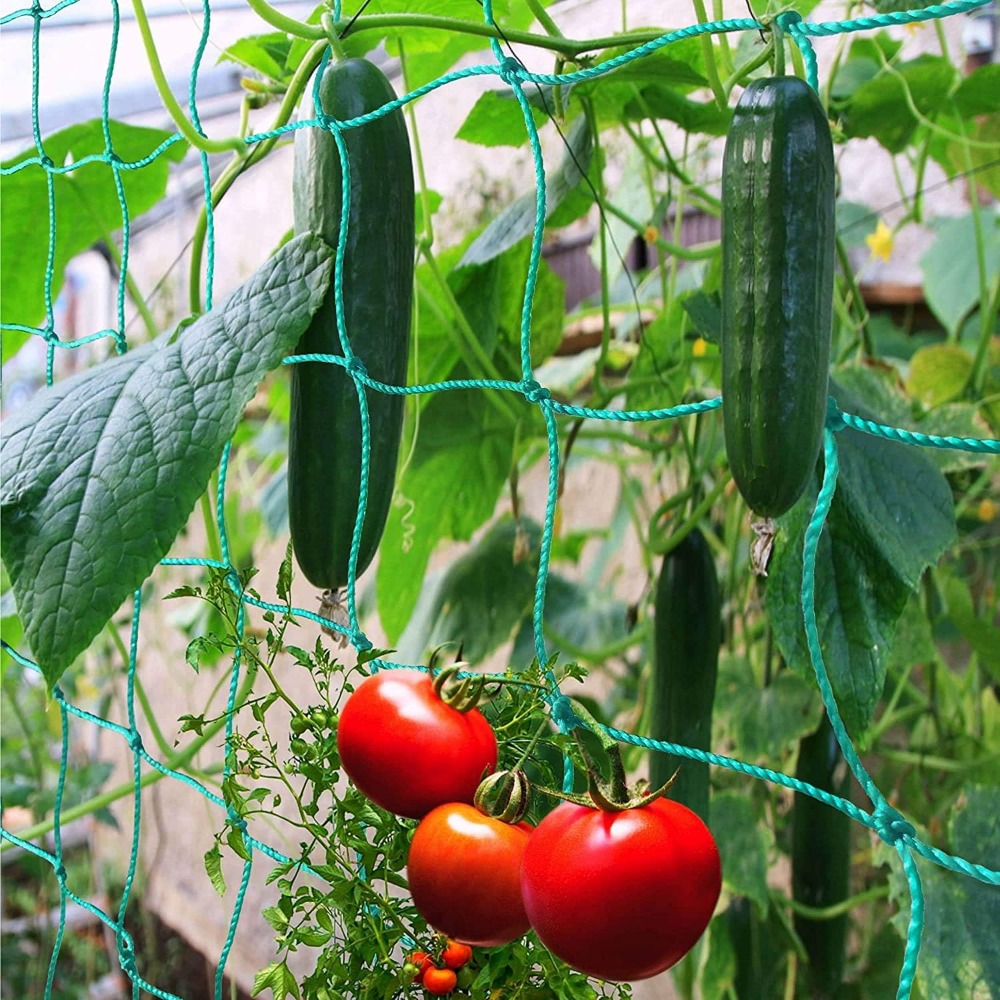 Vine Climbing Plastic - 1pc Trellis Netting, Portable Flower Vine