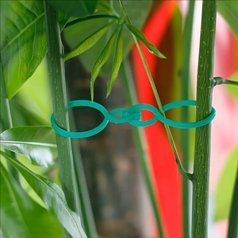 125Pcs Garden Plant Support Ki – обзор и цена Vine Climbing Plastic