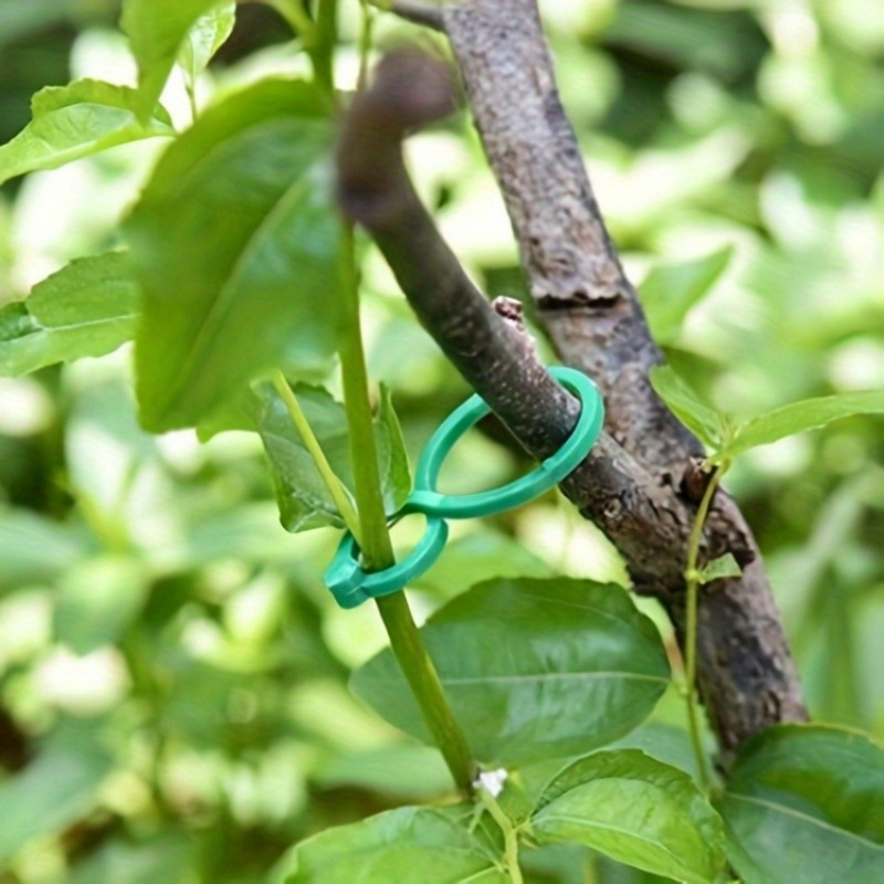 125Pcs Garden Plant Support Ki – обзор и цена Vine Climbing Plastic