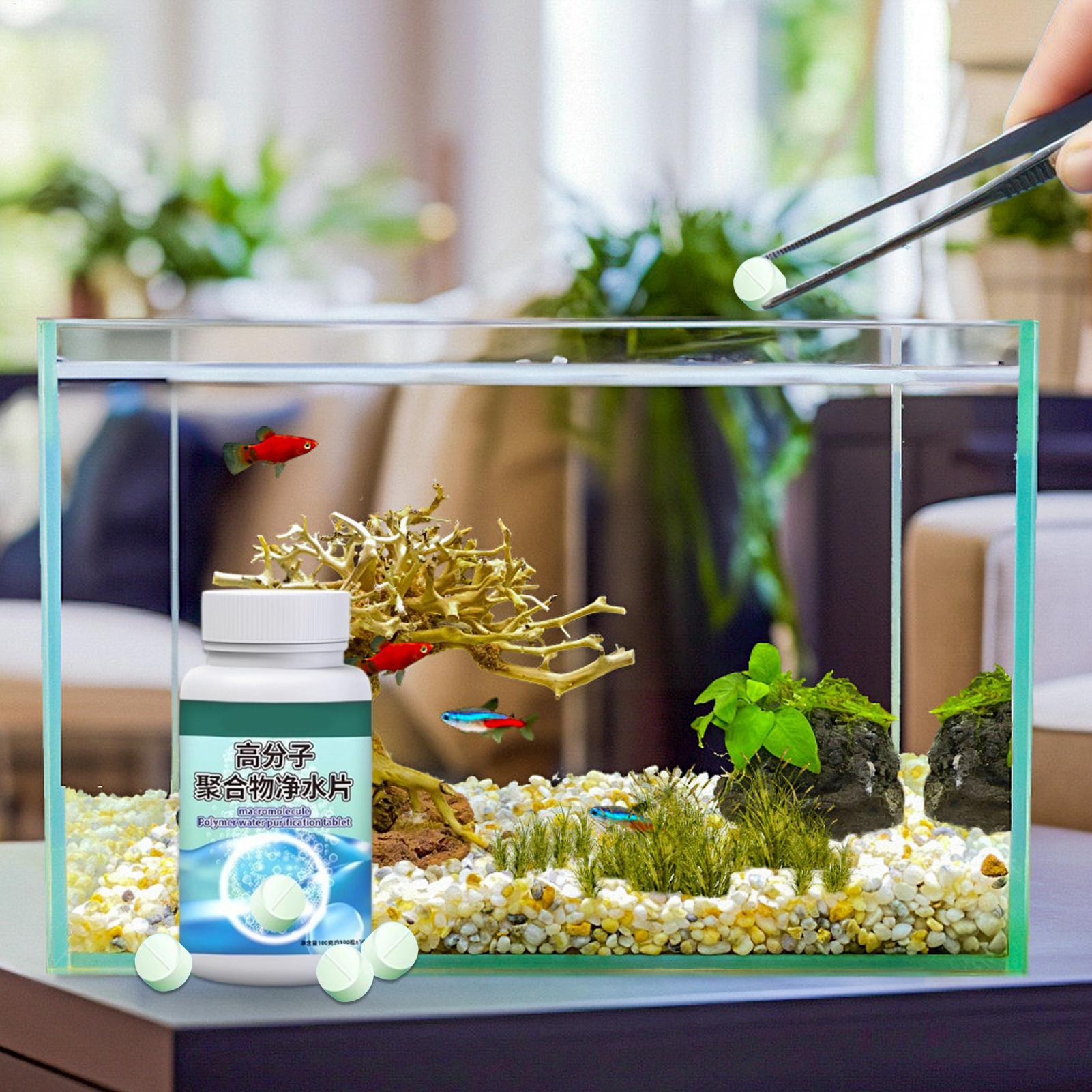 Fish Can Algae Remover Aquariu – обзор и цена Water Dish Reptile