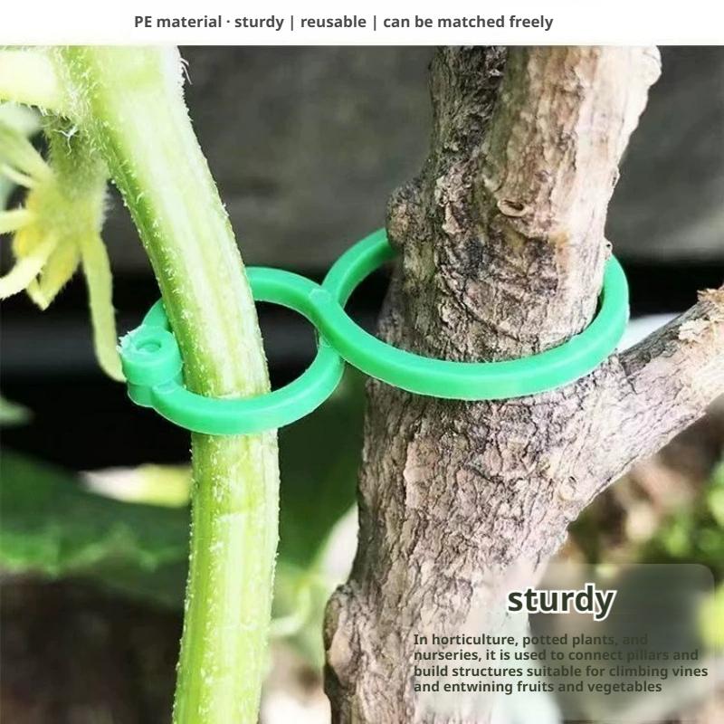 100 Pcs Plant Support Clips He – обзор и цена Vine Climbing Plastic