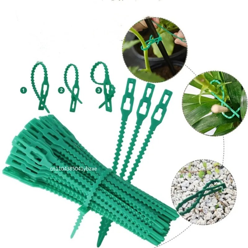 50-1000pcs Adjustable Plastic  – обзор и цена Vine Climbing Plastic