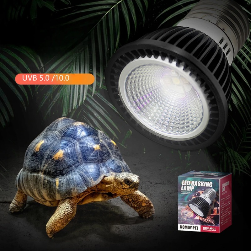 NOMOY Reptile 110/220V UVB+UVA – обзор и цена Calcium Powder Reptile