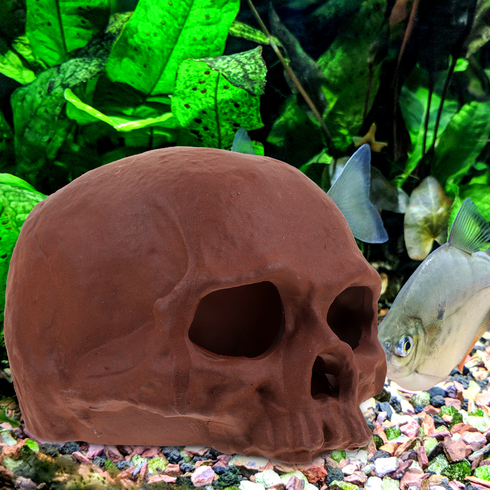 Ceramic Fish Tank Decoration S – обзор и цена Hide Cave Ceramic