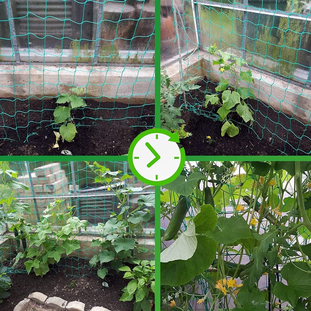 1pc Trellis Netting, Portable  – обзор и цена Vine Climbing Plastic