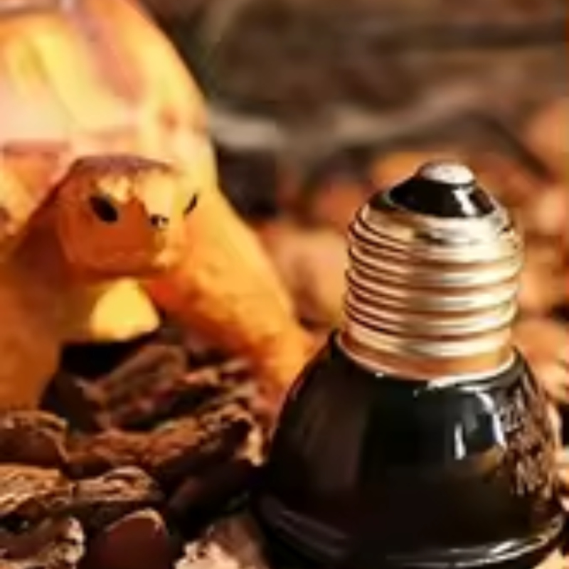 Reptile Ceramic Heat Emitter M – обзор и цена Ceramic Heat Emitter