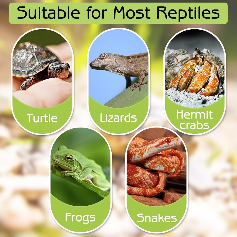 Turtle Bathing Pool Feeding Di – обзор и цена Water Dish Reptile