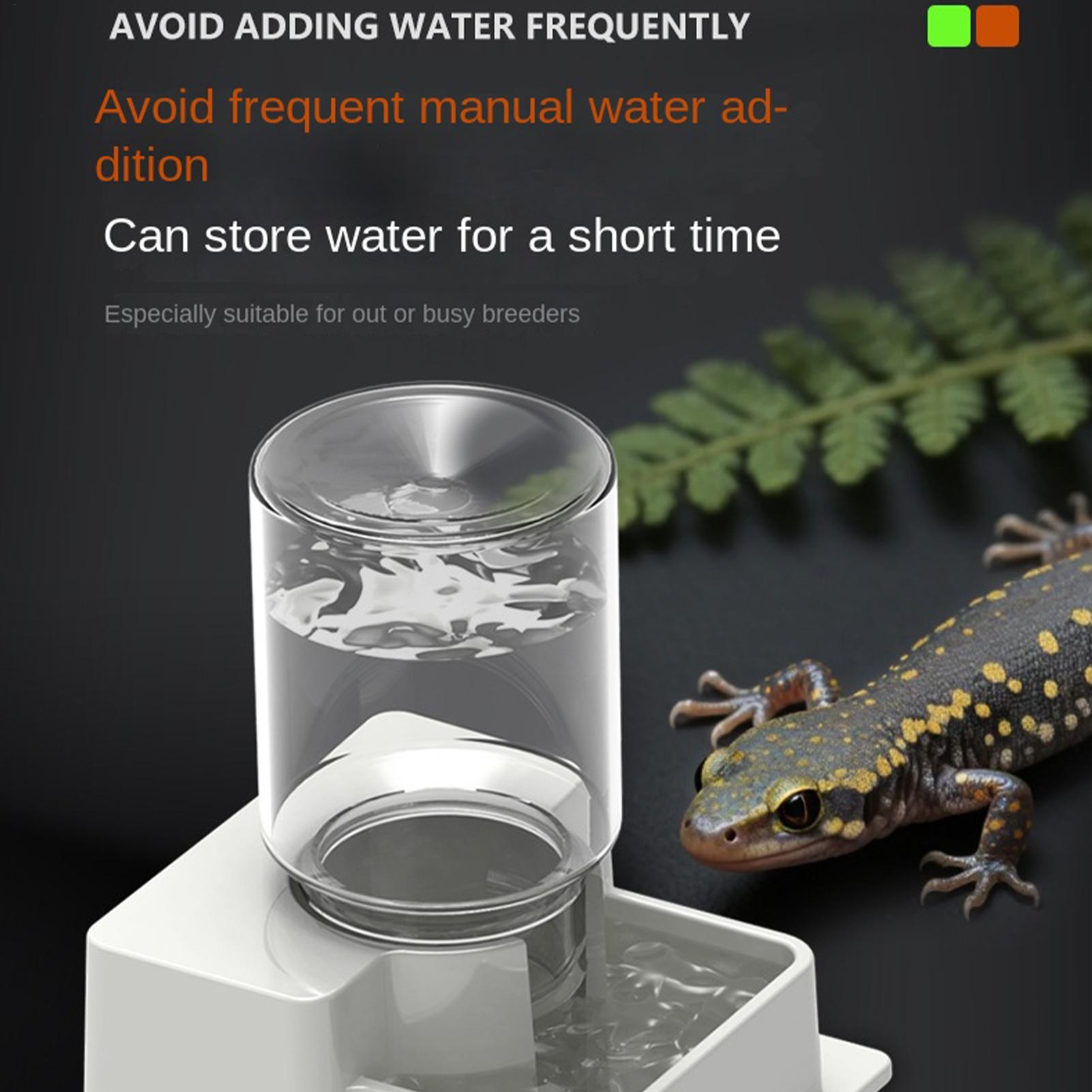 Bearded Dragon Water Fountain  – обзор и цена Water Dish Reptile