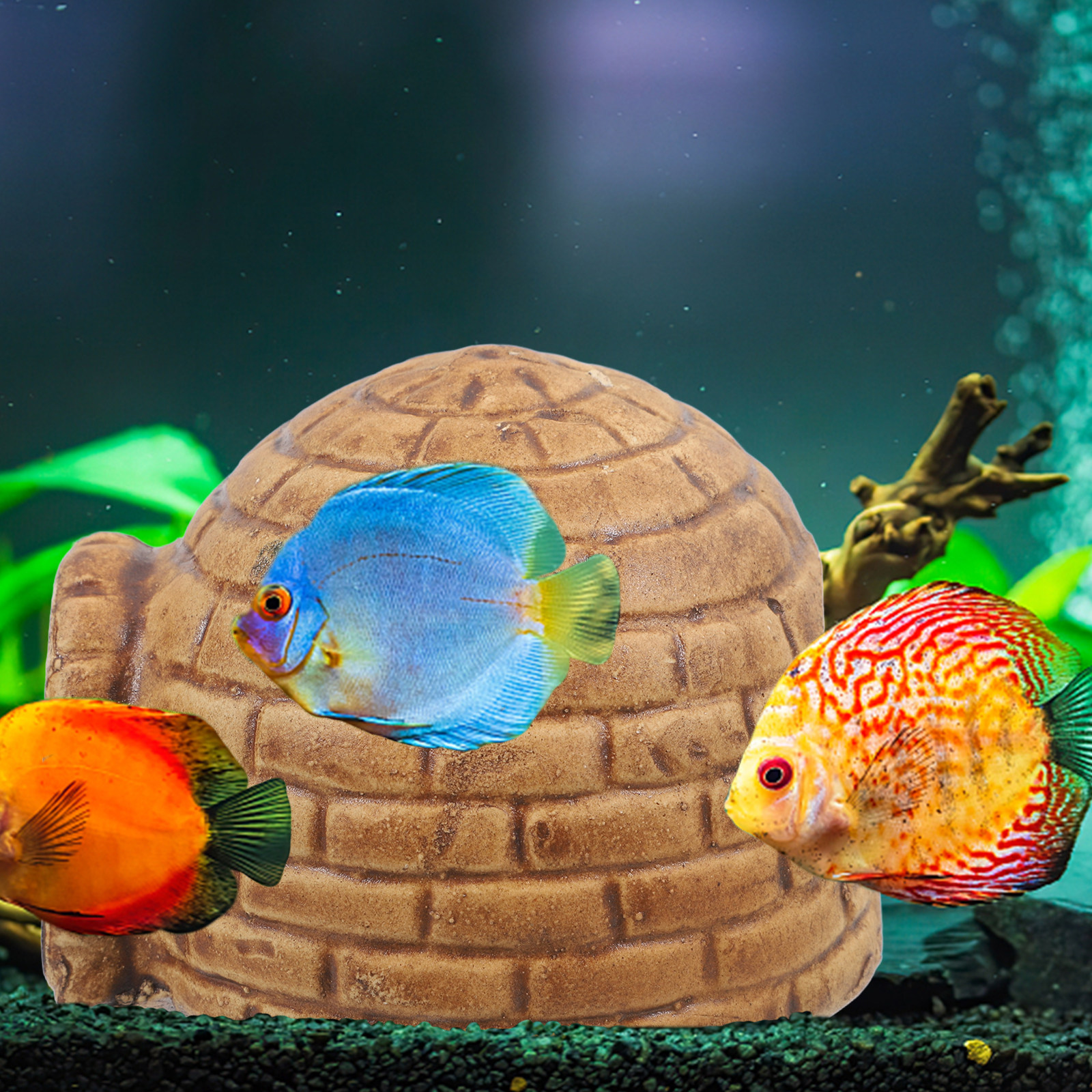 Pleco Caves for Aquarium Durab – обзор и цена Hide Cave Ceramic