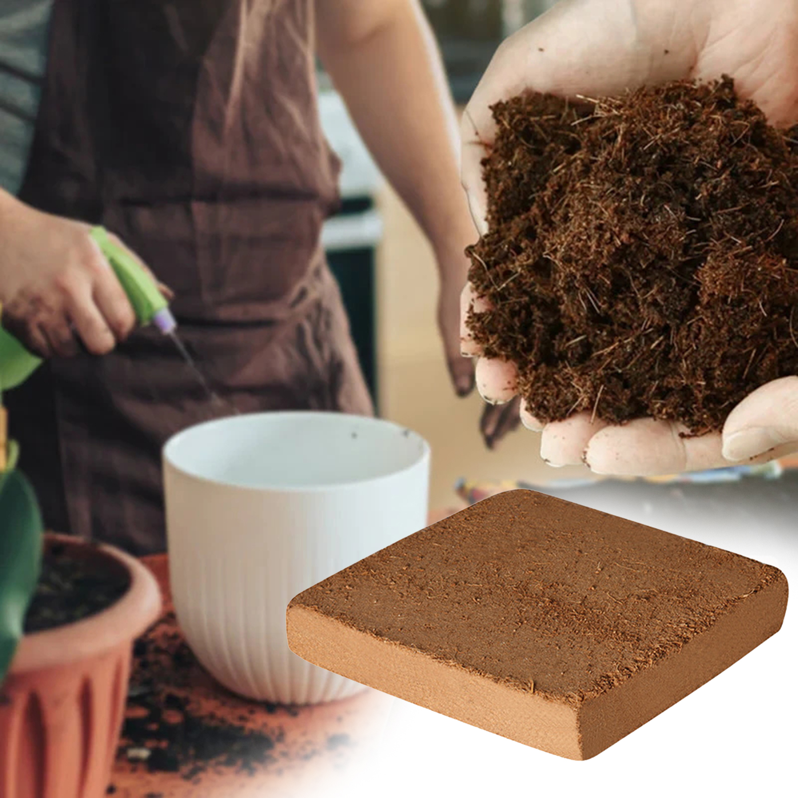 Soil Coconut Fibre Terrarium S – обзор и цена Substrate Coconut Fiber
