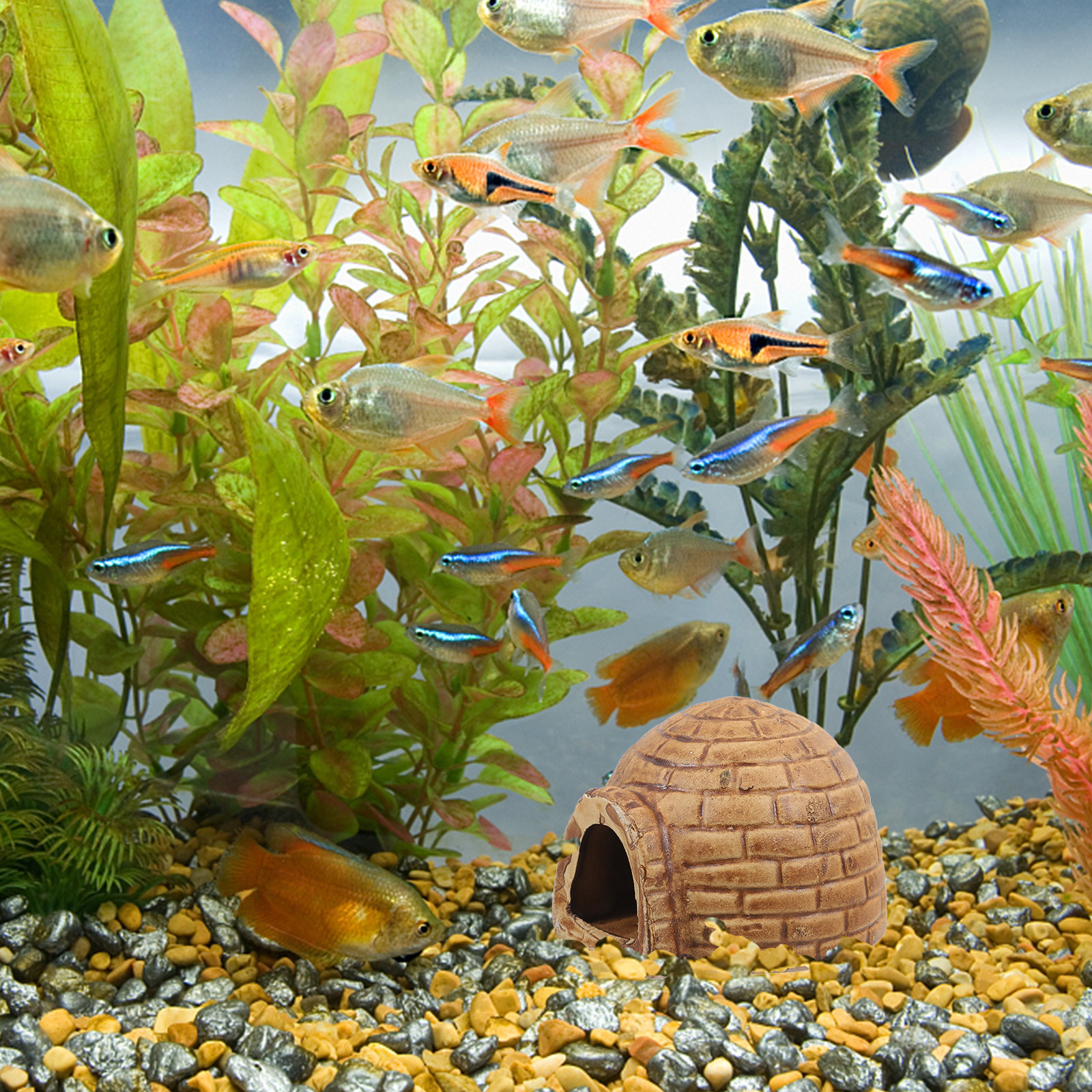 Ceramic Pleco Caves Aquarium F – обзор и цена Hide Cave Ceramic